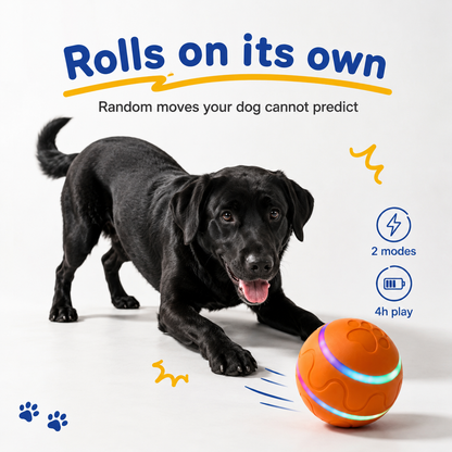 The PupMotion™